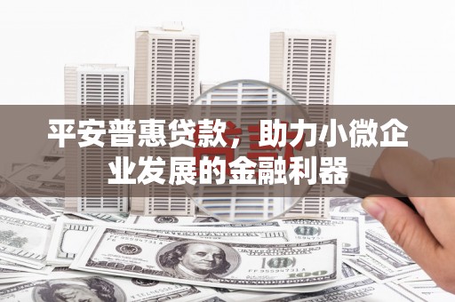 六龟平安普惠贷款，助力小微企业发展的金融利器