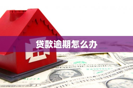 六龟贷款逾期怎么办