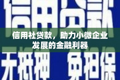 六龟信用社贷款，助力小微企业发展的金融利器