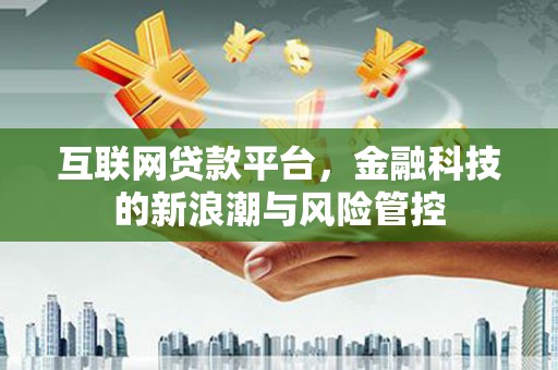六龟互联网贷款平台，金融科技的新浪潮与风险管控
