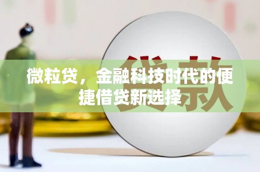 六龟微粒贷，金融科技时代的便捷借贷新选择