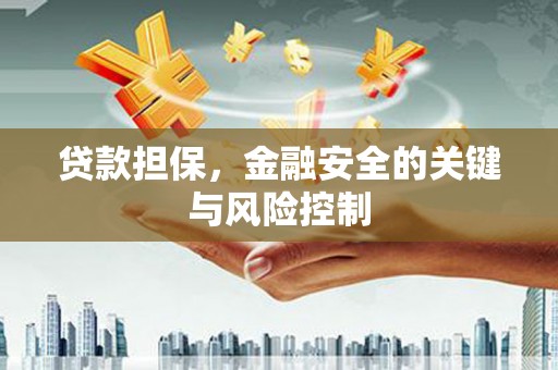 六龟贷款担保，金融安全的关键与风险控制