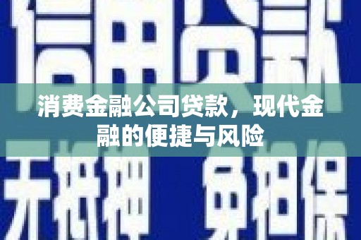 六龟消费金融公司贷款，现代金融的便捷与风险