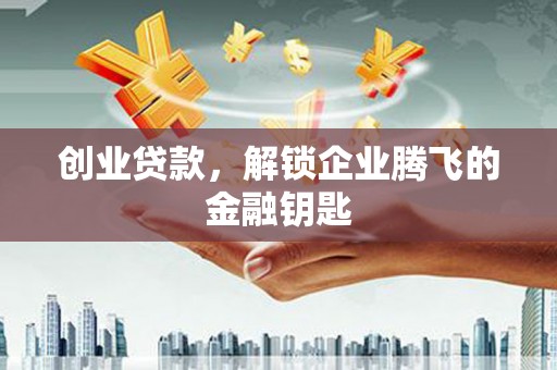 六龟创业贷款，解锁企业腾飞的金融钥匙