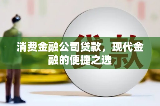 六龟消费金融公司贷款，现代金融的便捷之选