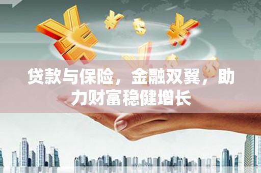 六龟贷款与保险，金融双翼，助力财富稳健增长