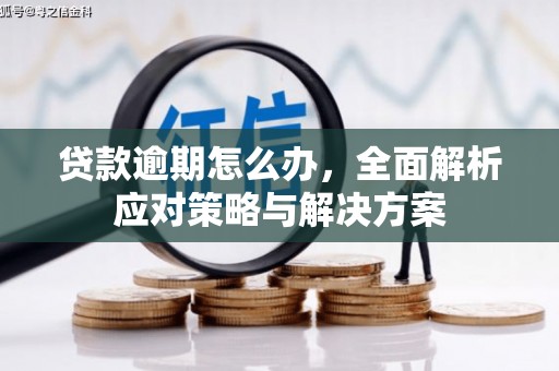 六龟贷款逾期怎么办，全面解析应对策略与解决方案