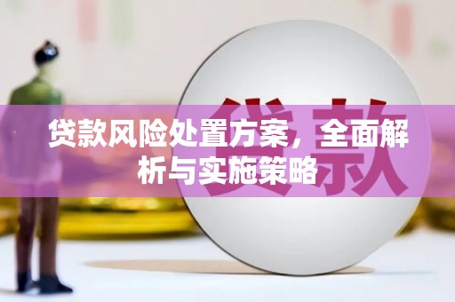 六龟贷款风险处置方案，全面解析与实施策略